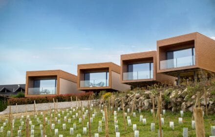 imagem da propriedade