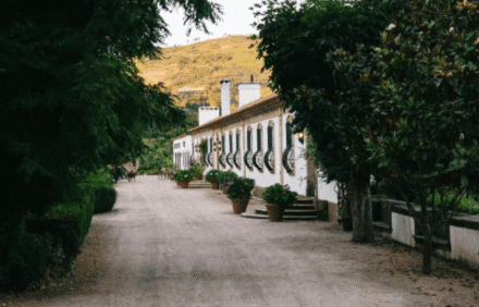 imagem da propriedade