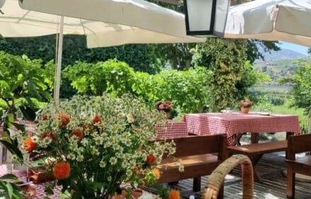 imagem da propriedade