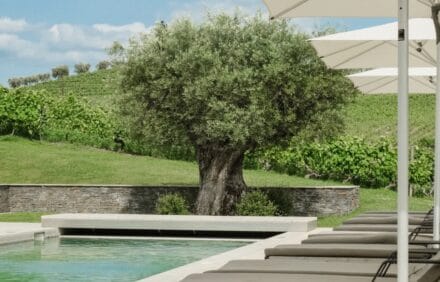 imagem da propriedade