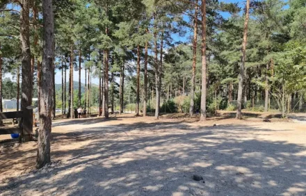 imagem da propriedade