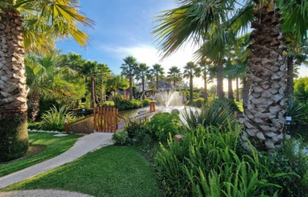 imagem da propriedade