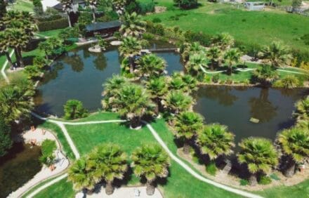 imagem da propriedade