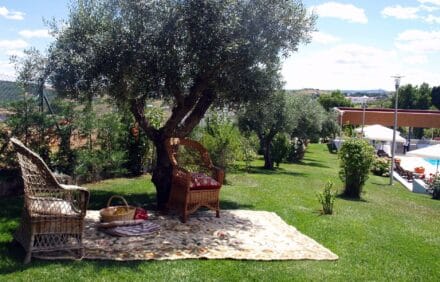 imagem da propriedade