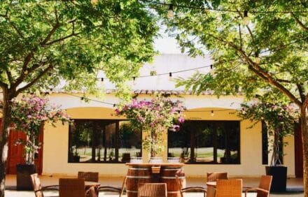 imagem da propriedade