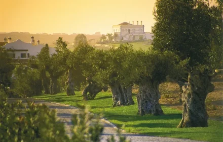 imagem da propriedade