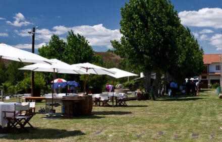 imagem da propriedade