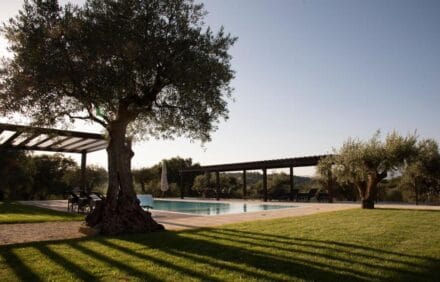 imagem da propriedade