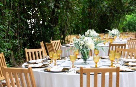 imagem da propriedade