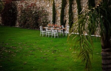 imagem da propriedade